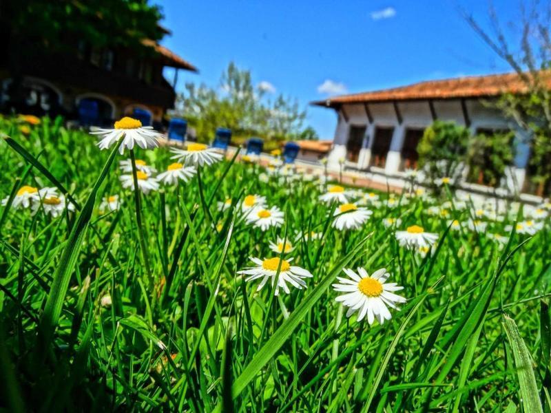 Hotel Izvora - Garden Retreat Арбанаси Экстерьер фото