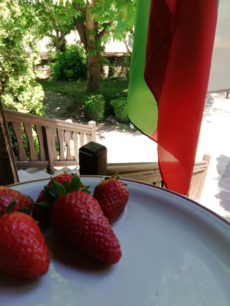 Hotel Izvora - Garden Retreat Арбанаси Экстерьер фото